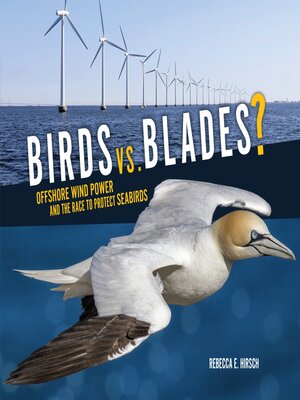 cover image of Birds vs. Blades?